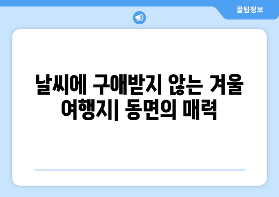 날씨에 구애받지 않는 겨울 여행지| 동면의 매력