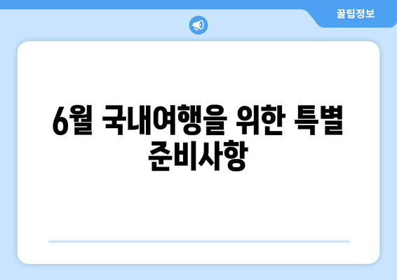 6월 국내여행을 위한 특별 준비사항