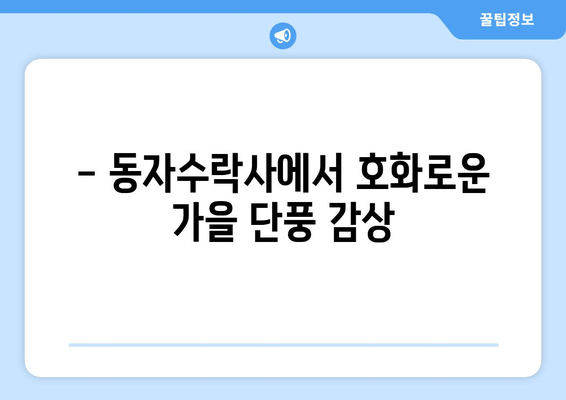 - 동자수락사에서 호화로운 가을 단풍 감상