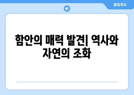 함안의 매력 발견| 역사와 자연의 조화