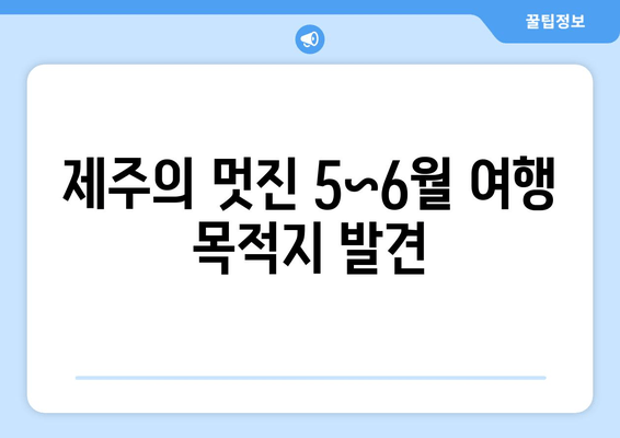 제주의 멋진 5~6월 여행 목적지 발견