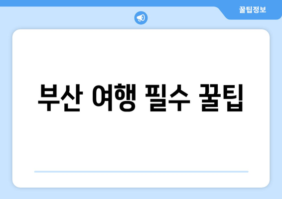 부산 여행 필수 꿀팁