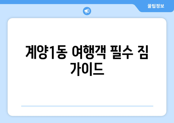 계양1동 여행객 필수 짐 가이드