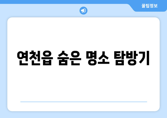 연천읍 숨은 명소 탐방기