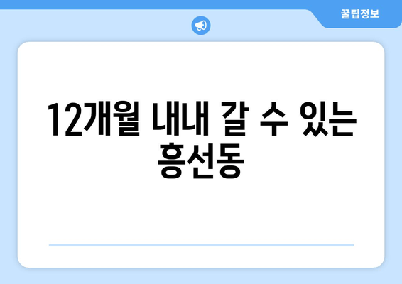 12개월 내내 갈 수 있는 흥선동