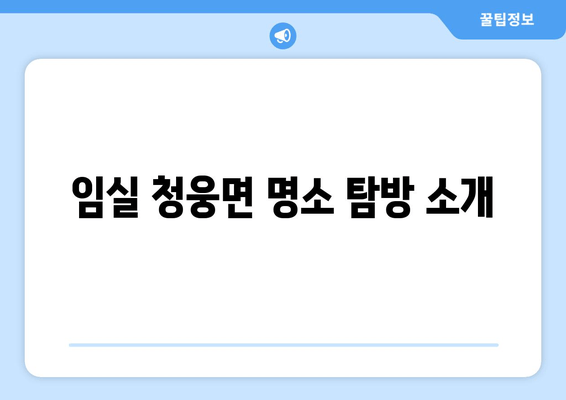 임실 청웅면 명소 탐방 소개