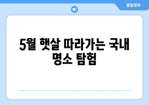 5월 햇살 따라가는 국내 명소 탐험