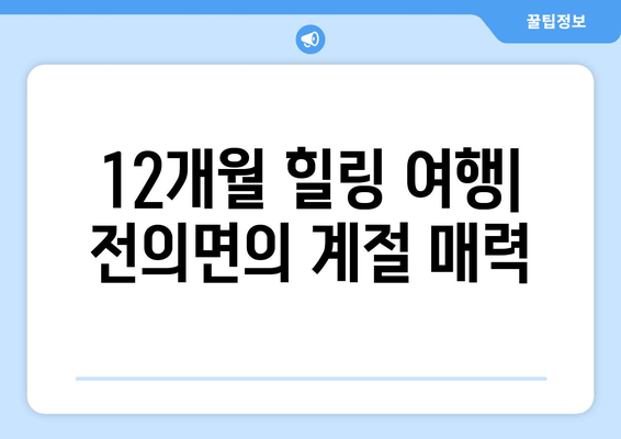 12개월 힐링 여행| 전의면의 계절 매력