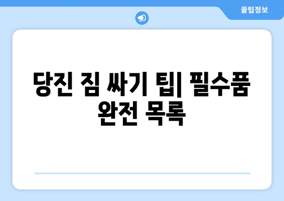 당진 짐 싸기 팁| 필수품 완전 목록