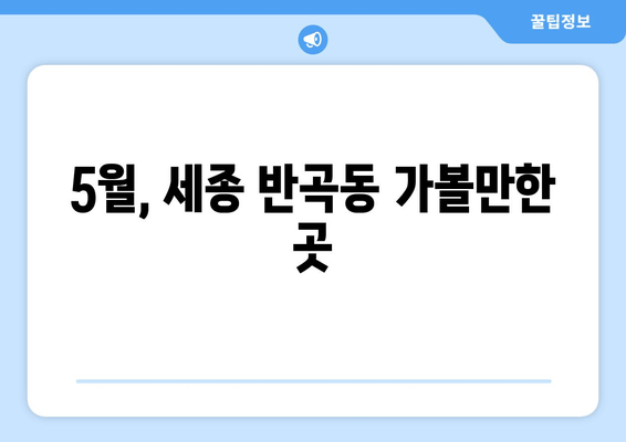 5월, 세종 반곡동 가볼만한 곳