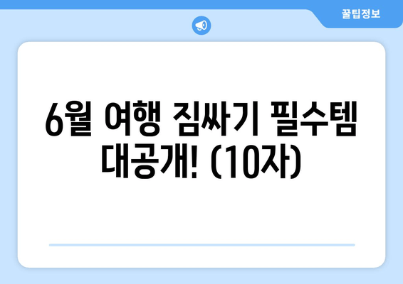 6월 여행 짐싸기 필수템 대공개! (10자)