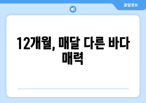 12개월, 매달 다른 바다 매력