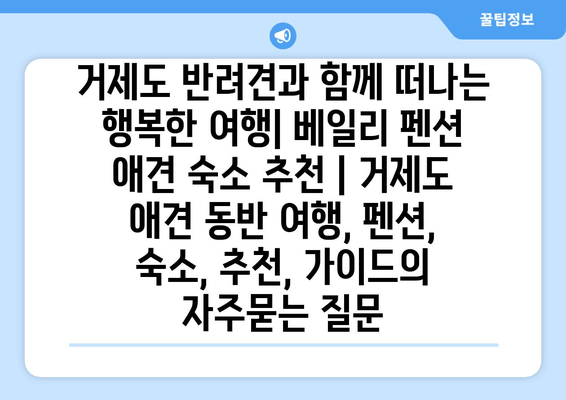 거제도 반려견과 함께 떠나는 행복한 여행| 베일리 펜션 애견 숙소 추천 | 거제도 애견 동반 여행, 펜션, 숙소, 추천, 가이드