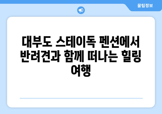 대부도 애견동반 펜션 추천| 스테이독 펜션에서 반려견과 행복한 여행 | 대부도, 애견동반, 숙소, 펜션, 추천