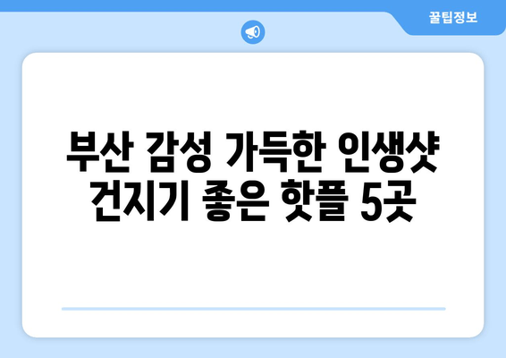 부산 현지인 추천! 인생샷 보장하는 📸 사진 명소 5곳 | 부산 여행, 인생샷, 사진 촬영, 가볼만한 곳