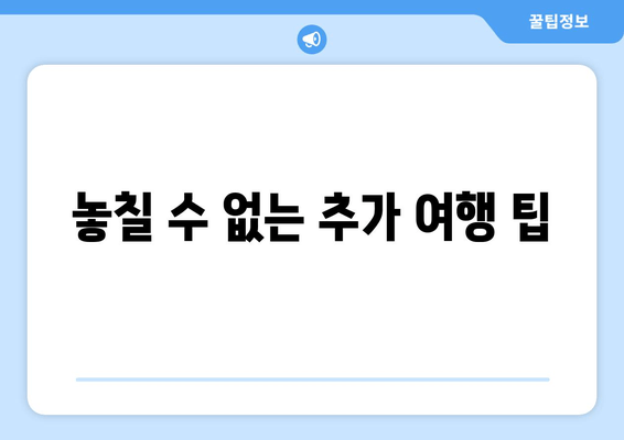 놓칠 수 없는 추가 여행 팁