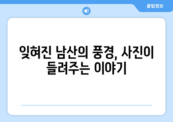 남산의 옛 모습을 담은 사진 속 시간 여행 | 추억과 역사가 살아 숨 쉬는 남산 사진 이야기