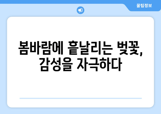 봄바람에 퍼지는 매혹적인 벚꽃 향기, 그 아름다움에 취하다 | 벚꽃, 봄, 풍경, 감성, 여행