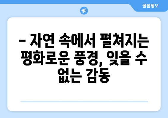 대관령 양떼목장, 자연과 평화 속에서 힐링을 경험하세요 | 강원도 여행, 가족 나들이, 양떼목장 체험