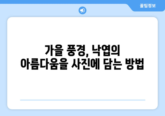 낙엽의 무용이 시작되는 계절, 아름다움을 담는 사진 팁 | 가을, 단풍, 풍경 사진, 촬영 가이드