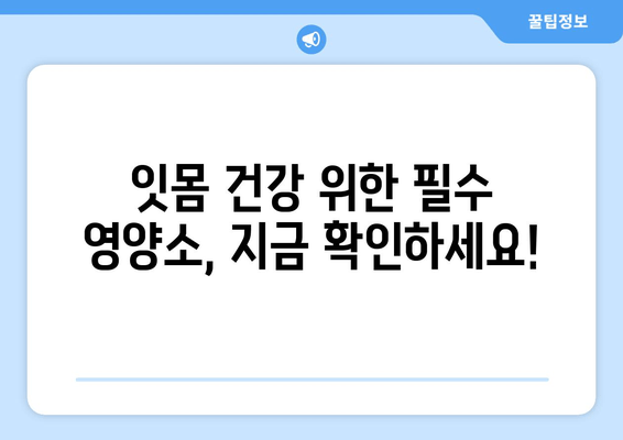 잇몸 내려앉음, 영양소로 되돌릴 수 있을까요? | 잇몸 건강, 잇몸 내려앉음 완화, 영양소 섭취