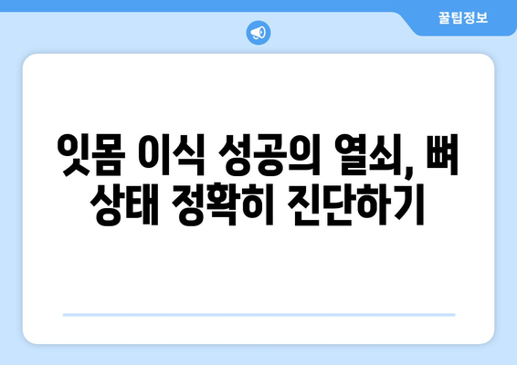 잇몸 이식 수술 전 필수! 뼈 상태 정확히 판단해야 성공 | 잇몸 이식, 뼈 이식, 임플란트, 치주 질환, 치과