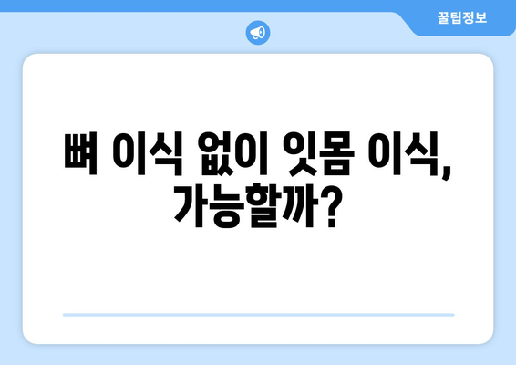 잇몸 이식 수술 전, 뼈 상태는 필수 체크! | 잇몸 이식, 뼈 이식, 수술 전 검사, 성공적인 이식