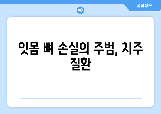 잇몸 뼈 손실 진단| 원인 파악과 조기 발견 | 치주 질환, 잇몸 건강, 치과 검진, 예방법