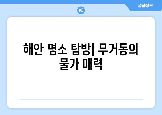 해안 명소 탐방| 무거동의 물가 매력