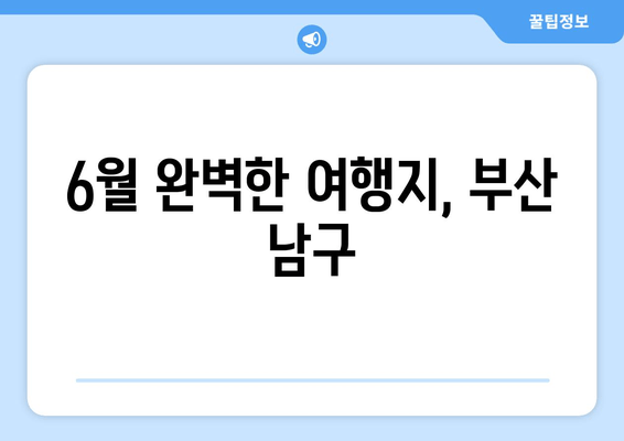 6월 완벽한 여행지, 부산 남구