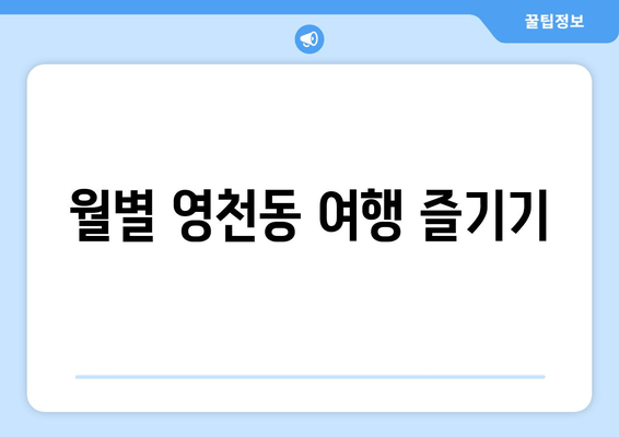 월별 영천동 여행 즐기기