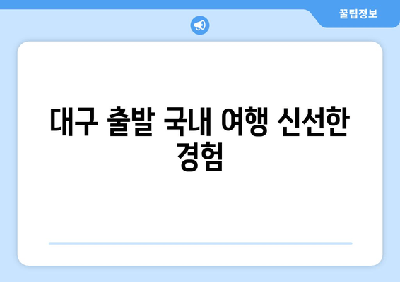 대구 출발 국내 여행 신선한 경험