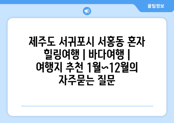 제주도 서귀포시 서홍동 혼자 힐링여행 | 바다여행 | 여행지 추천 1월~12월