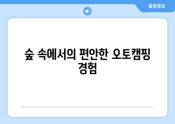 숲 속에서의 편안한 오토캠핑 경험