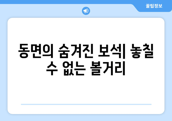 동면의 숨겨진 보석| 놓칠 수 없는 볼거리