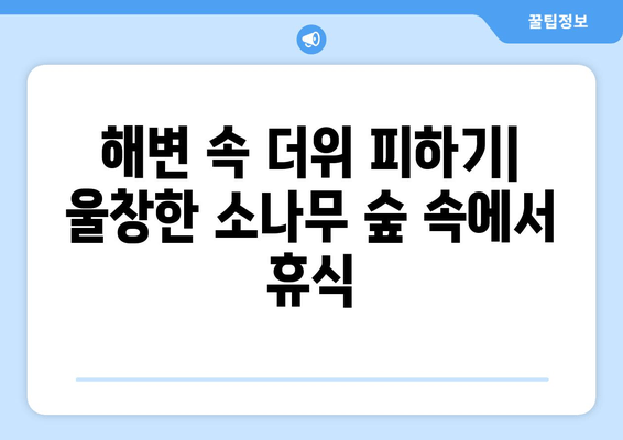 해변 속 더위 피하기| 울창한 소나무 숲 속에서 휴식