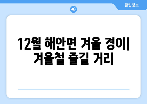 12월 해안면 겨울 경이| 겨울철 즐길 거리