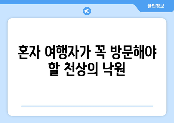 혼자 여행자가 꼭 방문해야 할 천상의 낙원