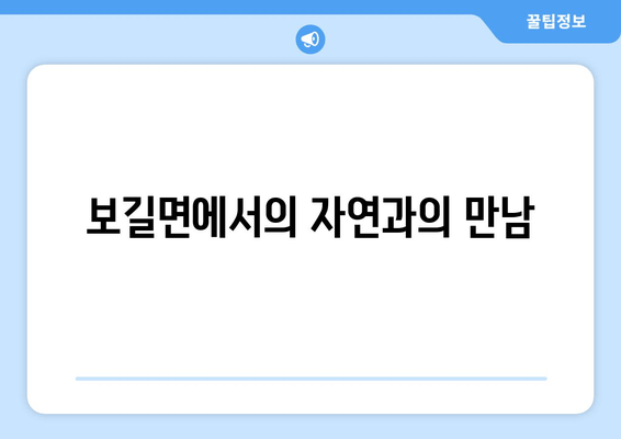 보길면에서의 자연과의 만남