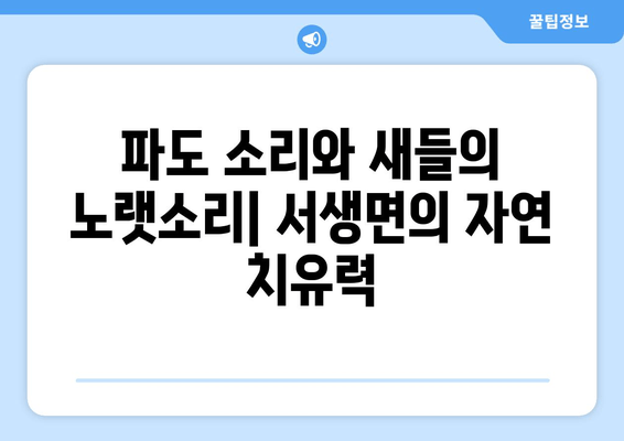 파도 소리와 새들의 노랫소리| 서생면의 자연 치유력