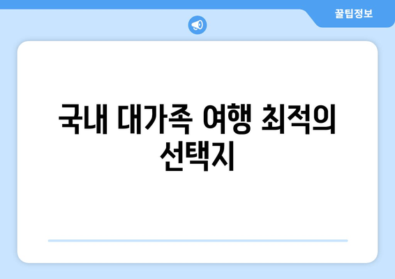 국내 대가족 여행 최적의 선택지