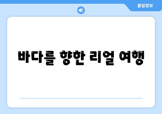 바다를 향한 리얼 여행