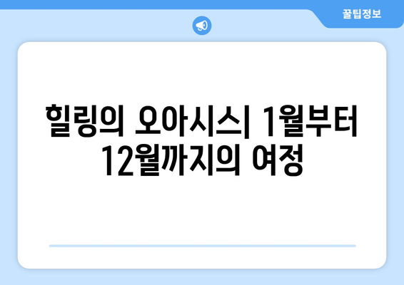 힐링의 오아시스| 1월부터 12월까지의 여정