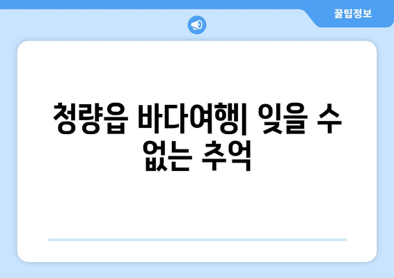 청량읍 바다여행| 잊을 수 없는 추억