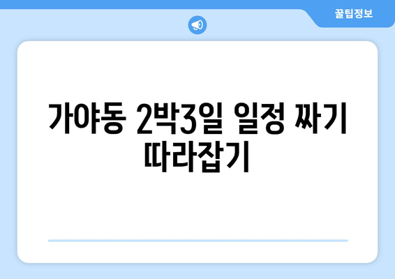 가야동 2박3일 일정 짜기 따라잡기