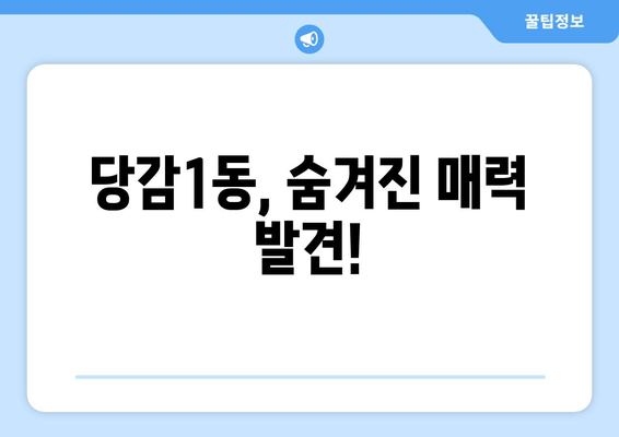 당감1동, 숨겨진 매력 발견!