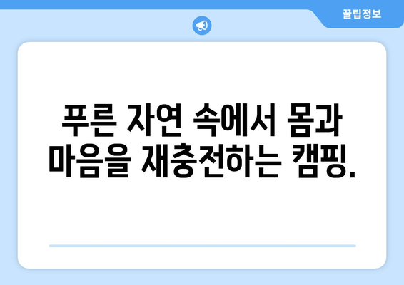 거제도 자연 속 캠핑 명소 추천| 생각속의 집에서 힐링하세요! | 거제도 캠핑, 캠핑 명소, 자연 힐링