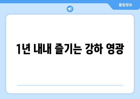 1년 내내 즐기는 강하 영광