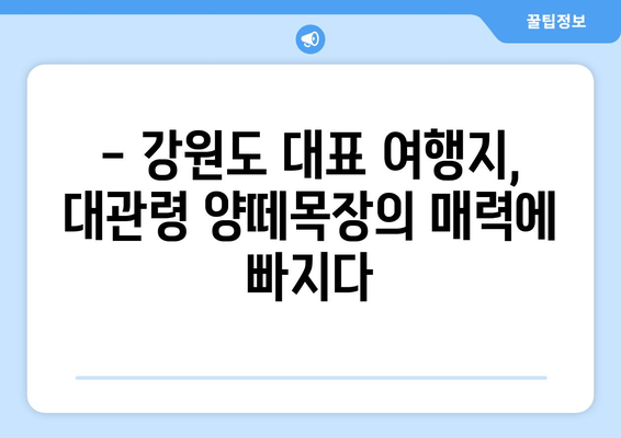 대관령 양떼목장, 자연과 평화 속에서 힐링을 경험하세요 | 강원도 여행, 가족 나들이, 양떼목장 체험