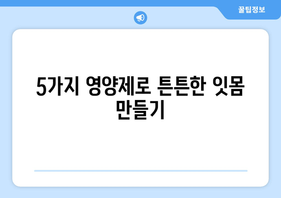 건강한 치은 유지, 꼭 필요한 영양제 5가지 | 치주 건강, 잇몸 관리, 영양 보충